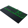 ornata v3 x 2022 render 2